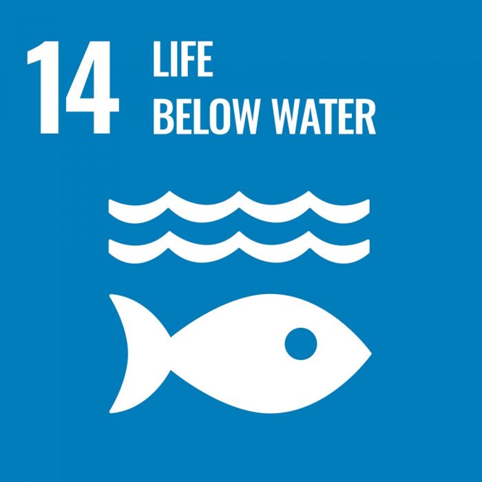 SDG 14 - Life below water